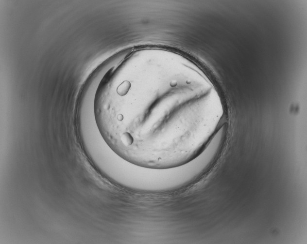 X0000111681077200908281130