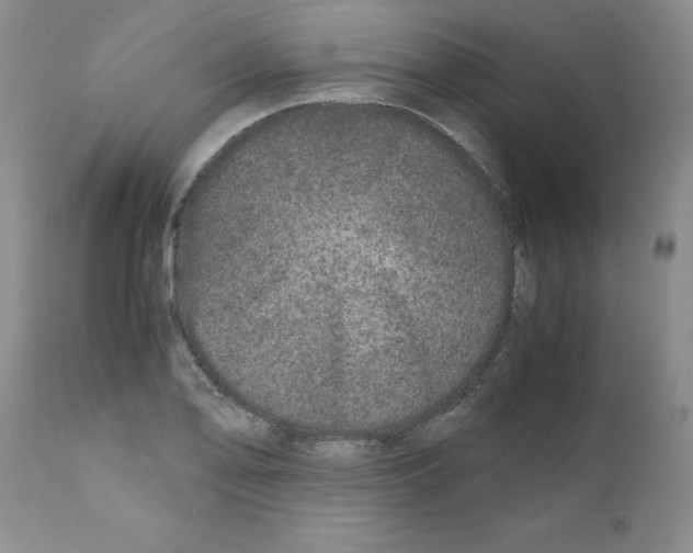 X0000111681078200908281130