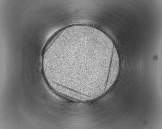 X0000111681079200908281130