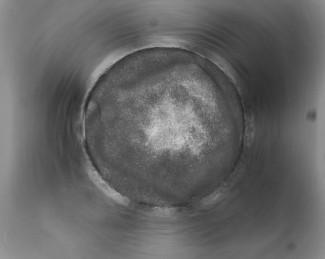 X0000111681080200908281130