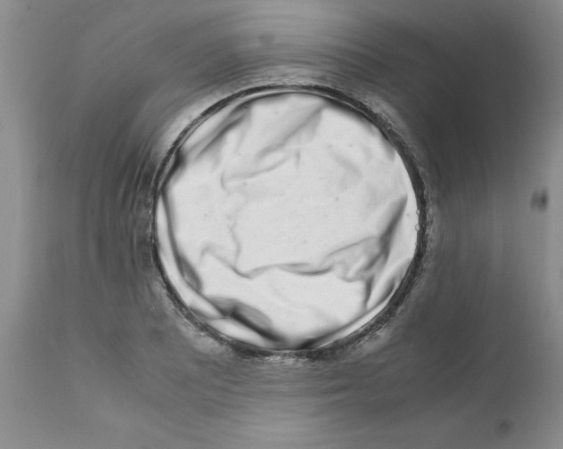 X0000111681081200908281130