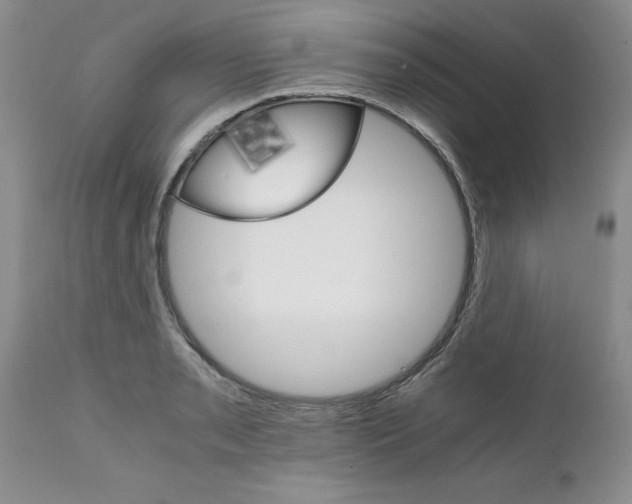 X0000111681085200908281130