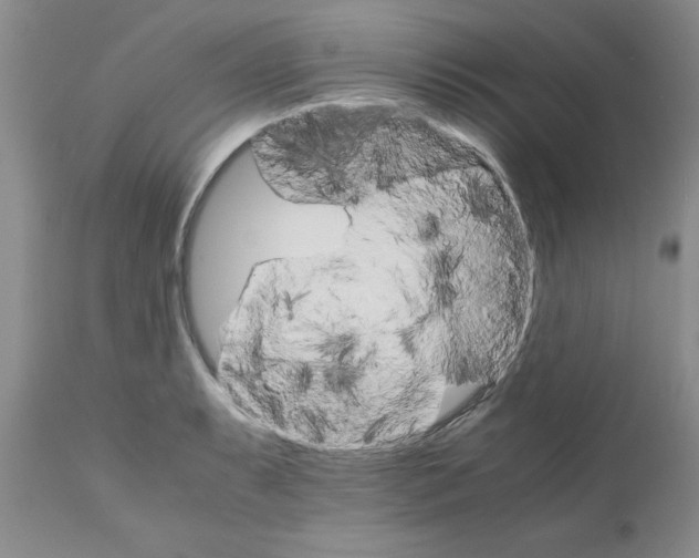 X0000111681087200908281130