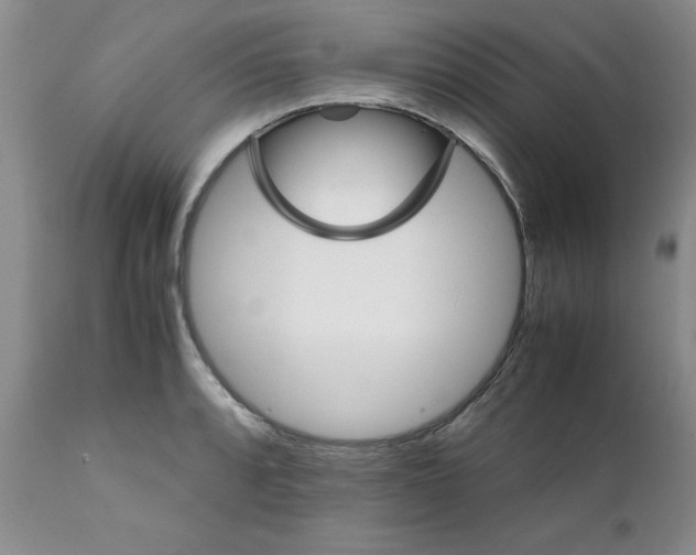 X0000111681088200908281130