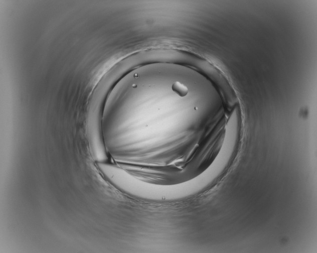 X0000111681089200908281130