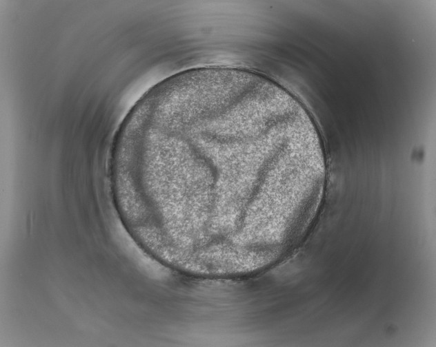 X0000111681091200908281129