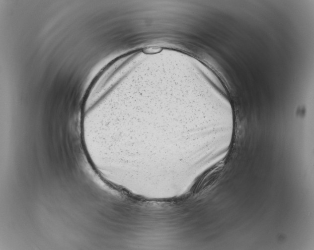 X0000111681092200908281129