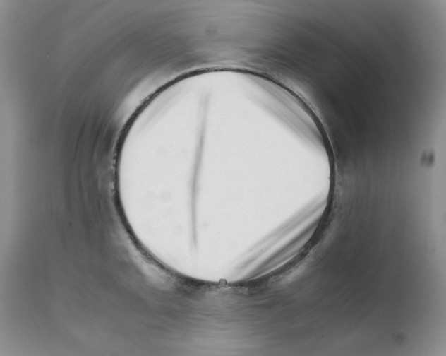 X0000111681093200908281129