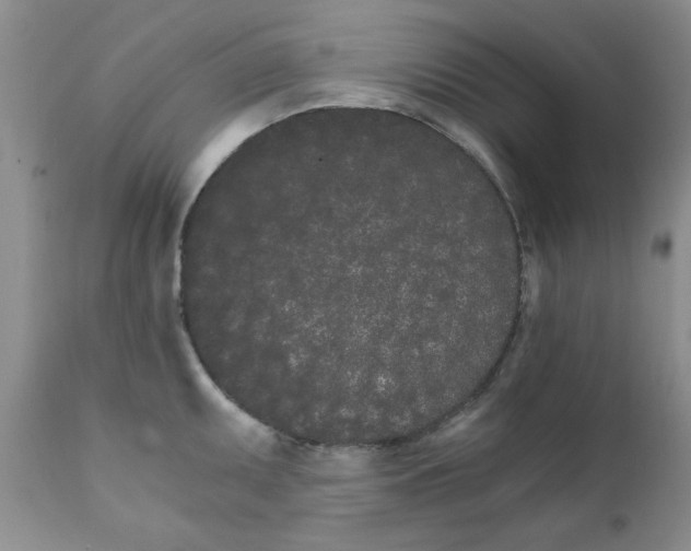 X0000111681095200908281129