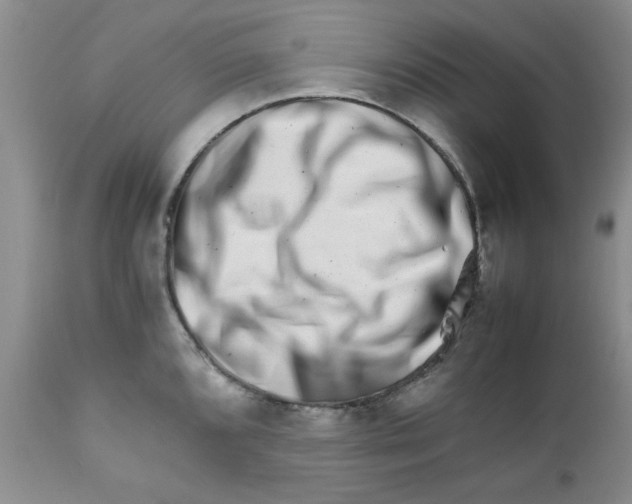 X0000111681096200908281129