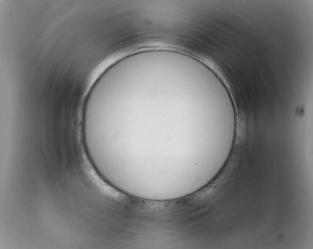 X0000111681098200908281129