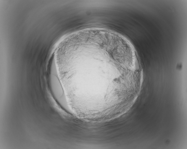 X0000111681099200908281129