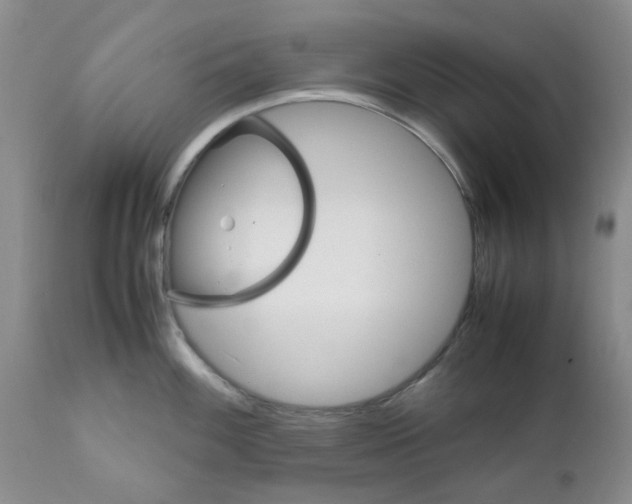 X0000111681100200908281129