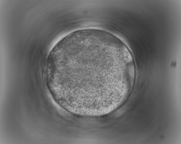 X0000111681101200908281129