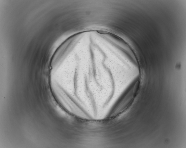 X0000111681102200908281129