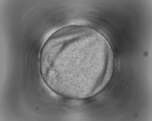 X0000111681103200908281129