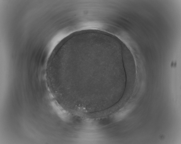 X0000111681104200908281129