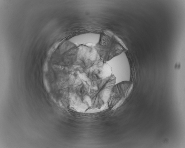 X0000111681105200908281129