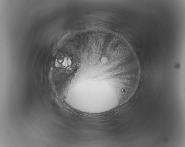 X0000111681106200908281129