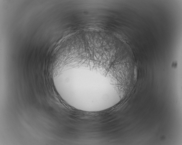 X0000111681107200908281129