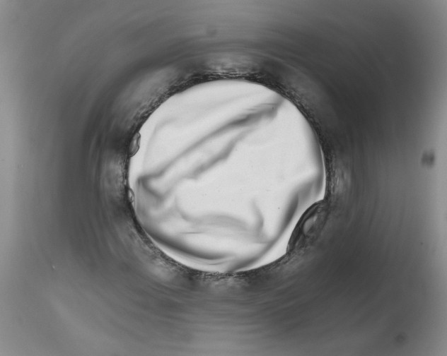 X0000111681108200908281129