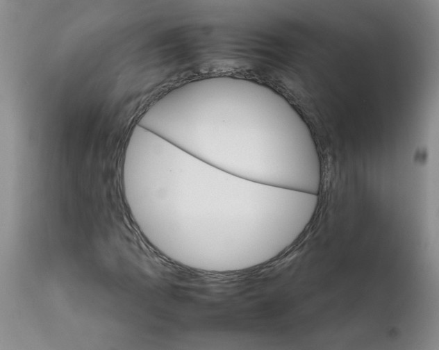 X0000111681109200908281129