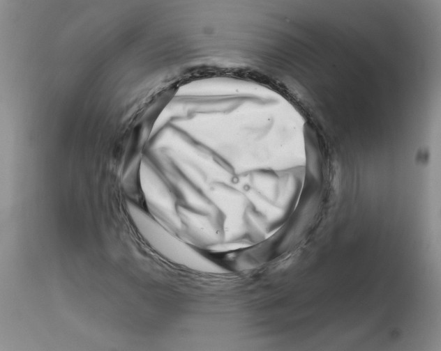 X0000111681110200908281129