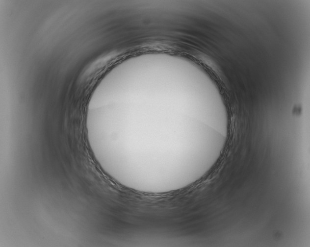 X0000111681111200908281129