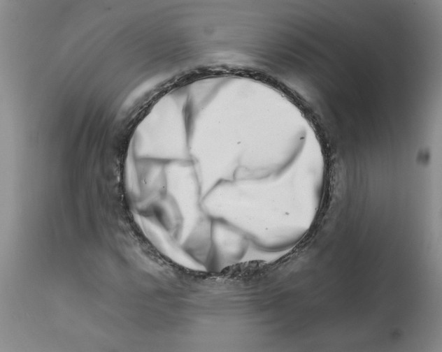 X0000111681112200908281129