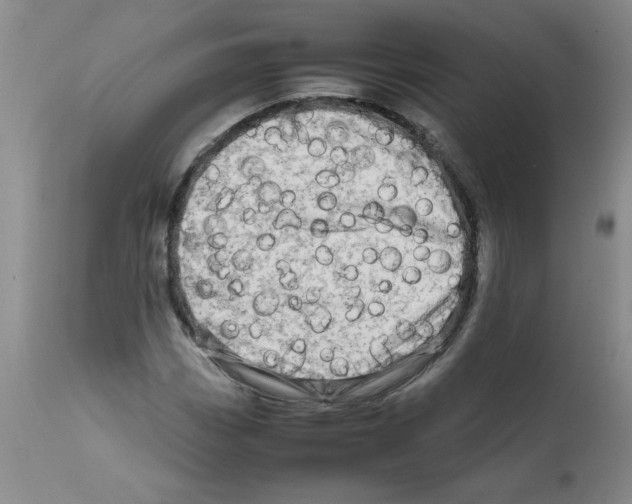 X0000111681113200908281129