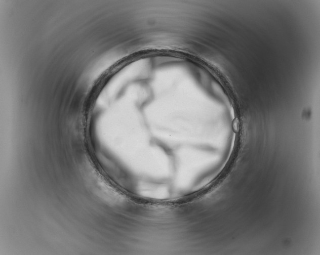 X0000111681114200908281129