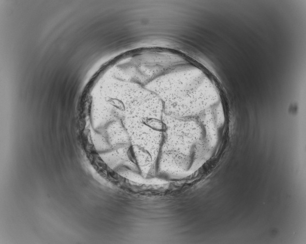 X0000111681116200908281129