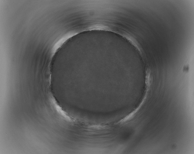 X0000111681117200908281129