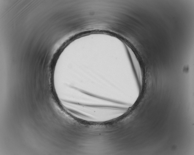 X0000111681118200908281129