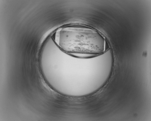 X0000111681120200908281129