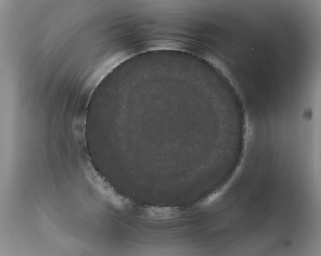 X0000111681121200908281129