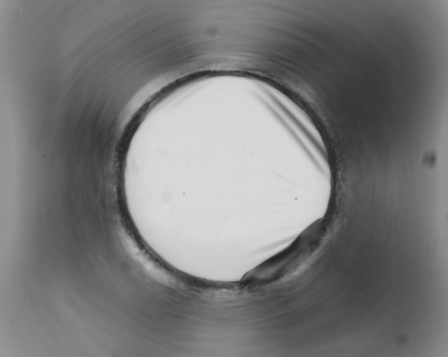 X0000111681122200908281129