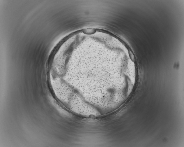 X0000111681124200908281129