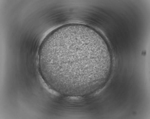 X0000111681125200908281129