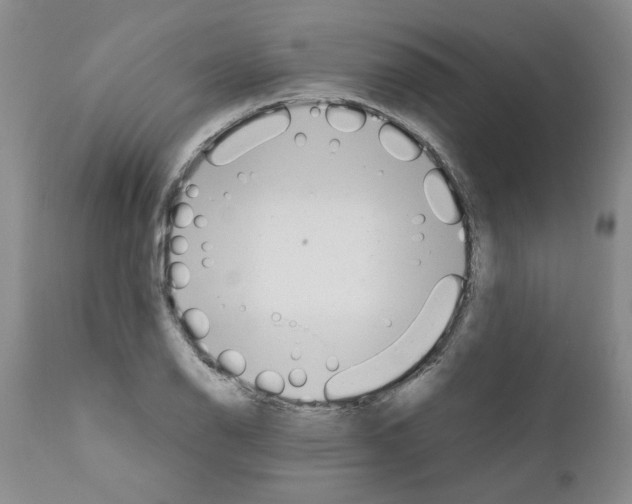 X0000111681126200908281129