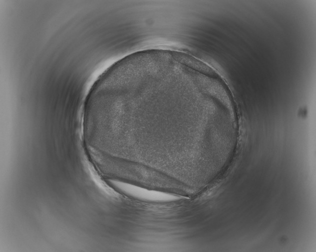 X0000111681128200908281129