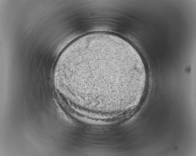 X0000111681129200908281129