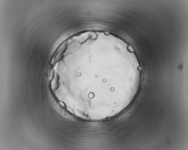 X0000111681130200908281129