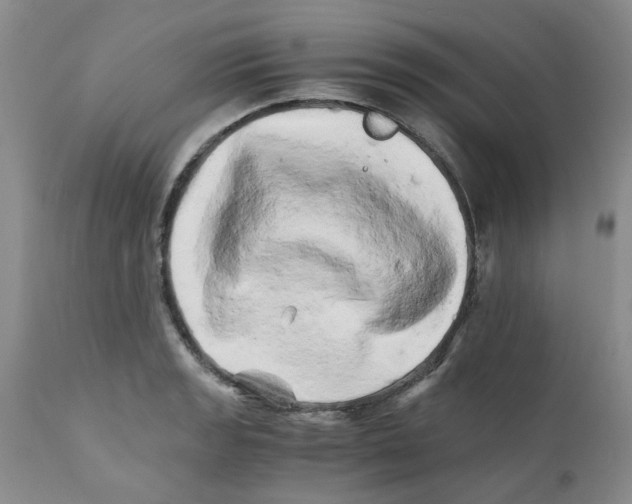 X0000111681133200908281129