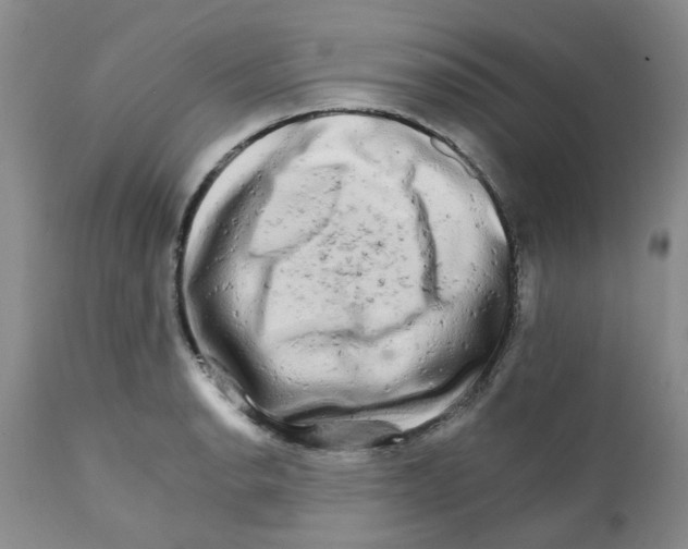 X0000111681134200908281129