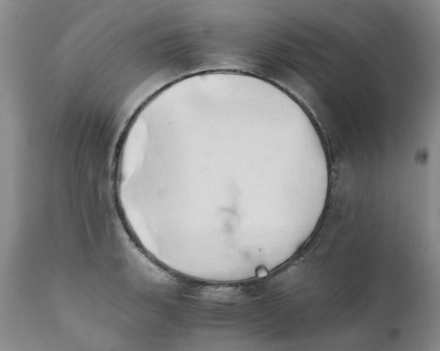 X0000111681135200908281129