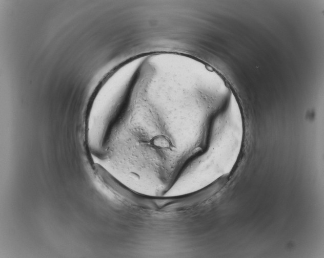 X0000111681136200908281129