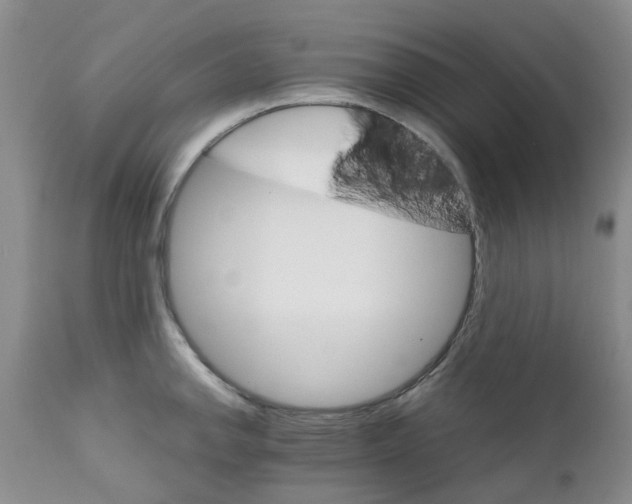 X0000111681142200908281129