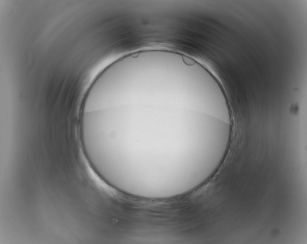 X0000111681143200908281129