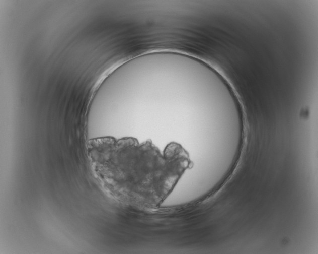 X0000111681145200908281129